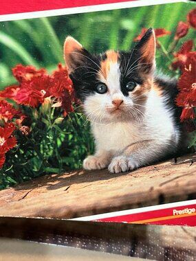 Fancy Face 1000 Piece Jigsaw Puzzle Prestige by Rose Art Cat Kitten Challenging